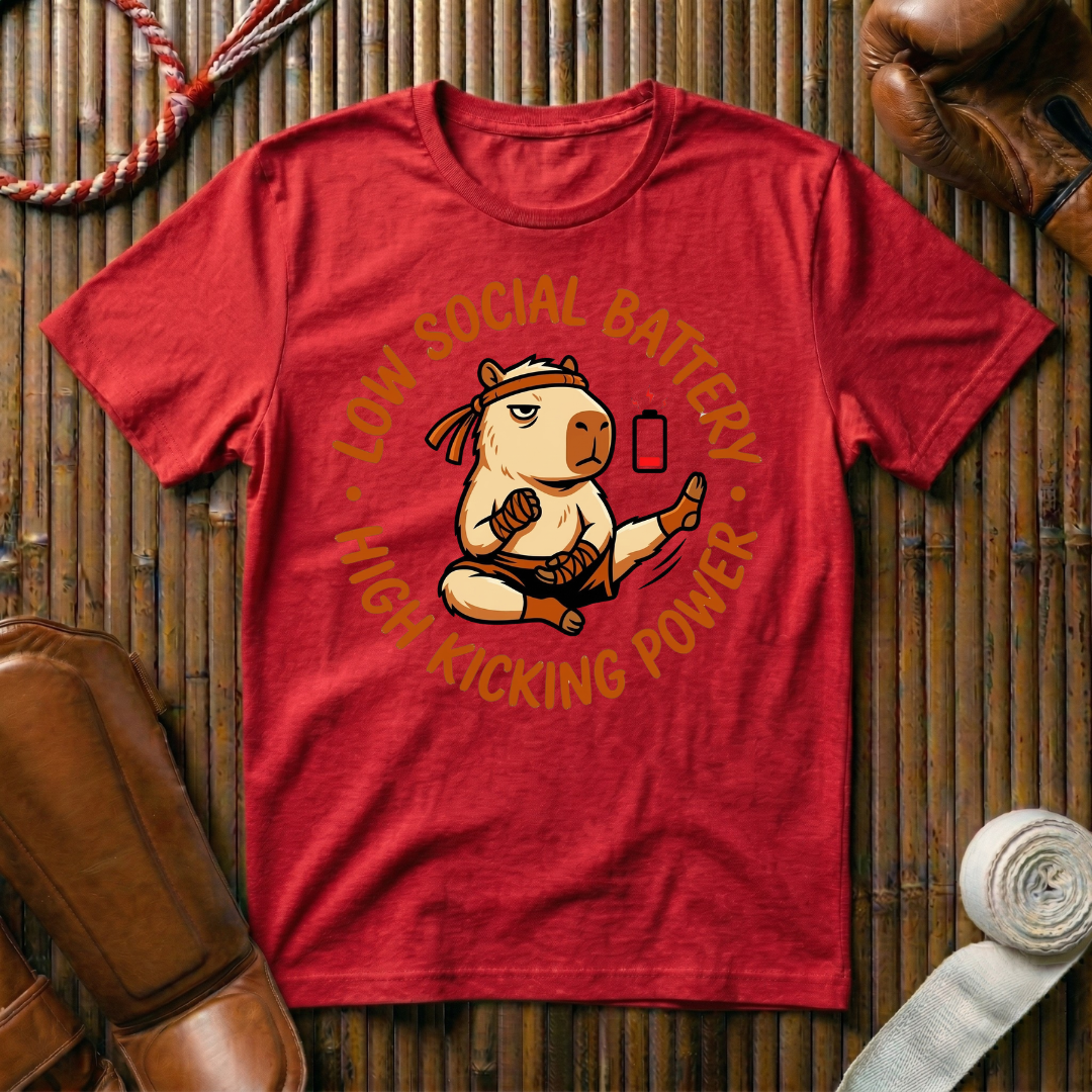 Low Social Battery - High Kicking Power - T-Shirt